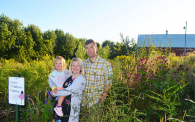 What’s the buzz at the neighbor’s house?  The first years of a new prairie