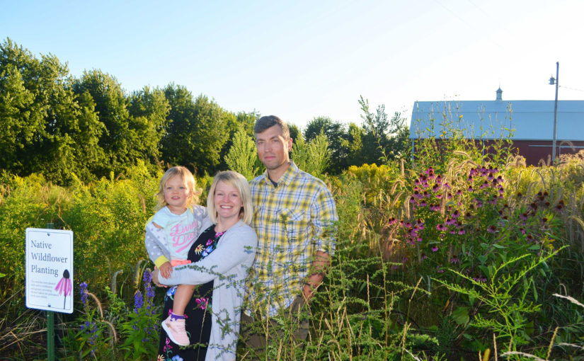 What’s the buzz at the neighbor’s house?  The first years of a new prairie