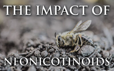 The Impact of Neonicotinoids