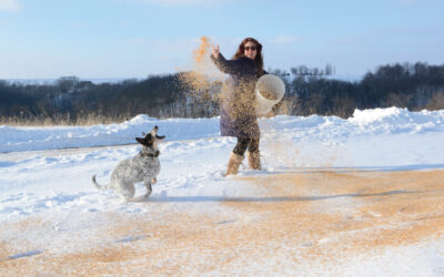 You Can Sow Seed in the Snow!